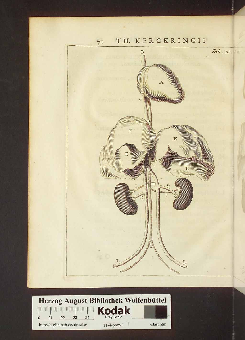 http://diglib.hab.de/drucke/11-4-phys-1/00100.jpg