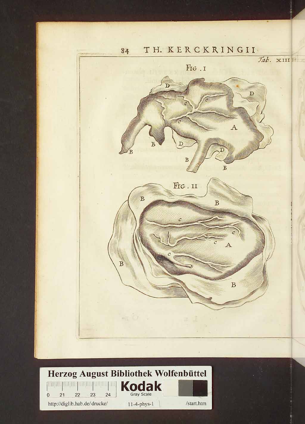 http://diglib.hab.de/drucke/11-4-phys-1/00114.jpg