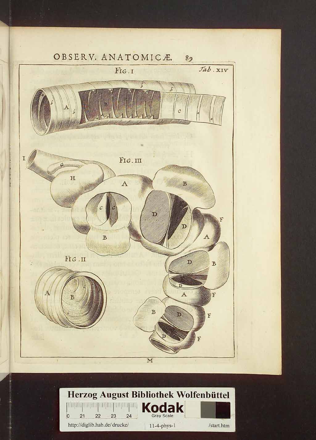http://diglib.hab.de/drucke/11-4-phys-1/00119.jpg
