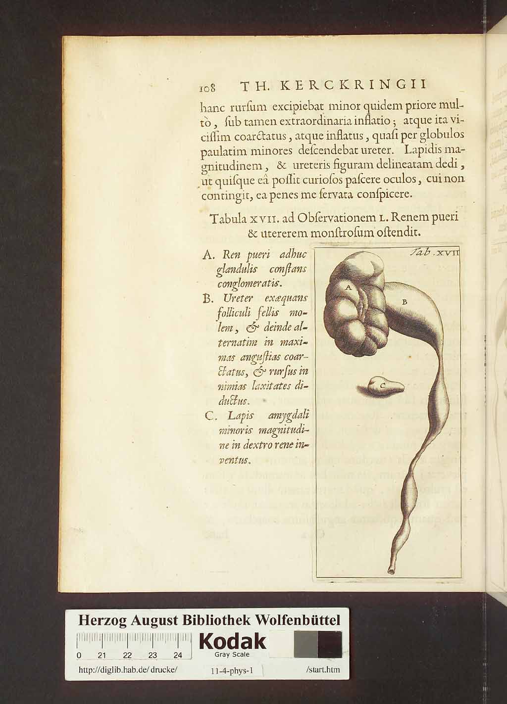 http://diglib.hab.de/drucke/11-4-phys-1/00138.jpg