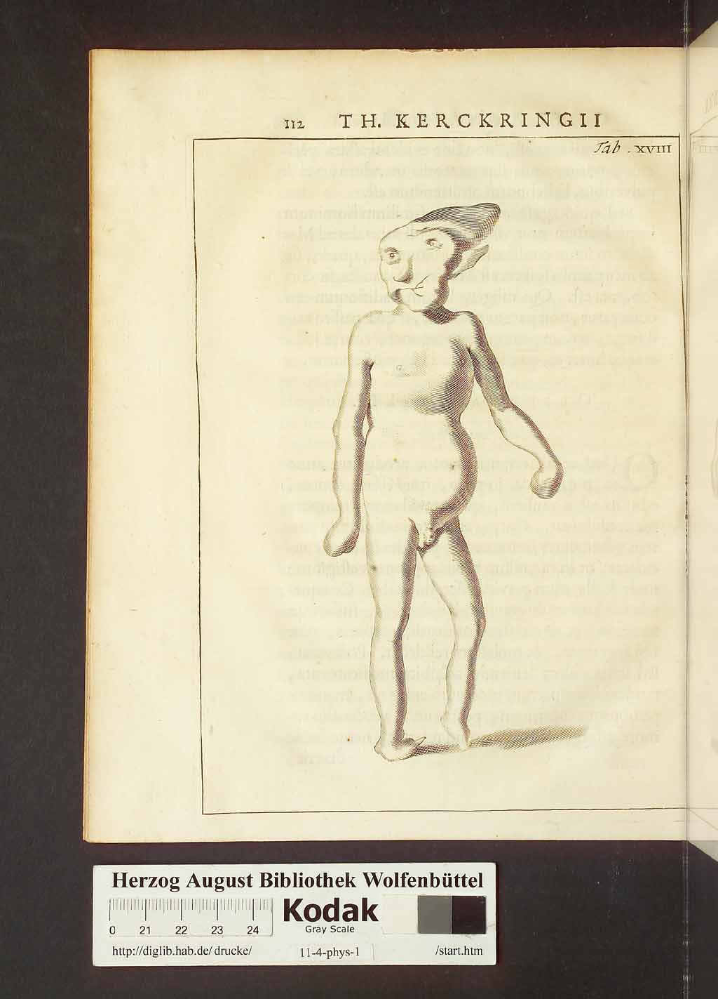 http://diglib.hab.de/drucke/11-4-phys-1/00142.jpg