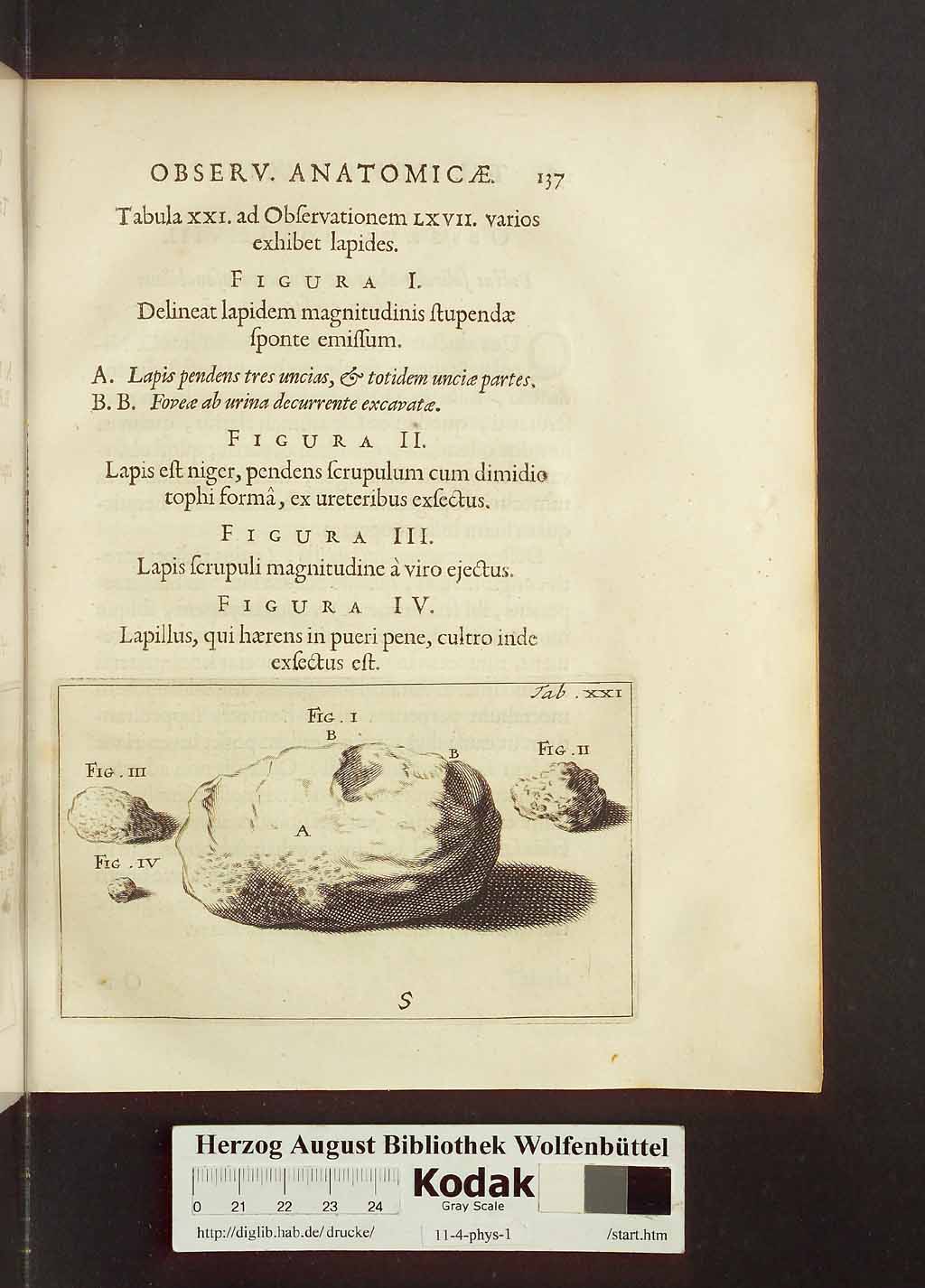 http://diglib.hab.de/drucke/11-4-phys-1/00167.jpg