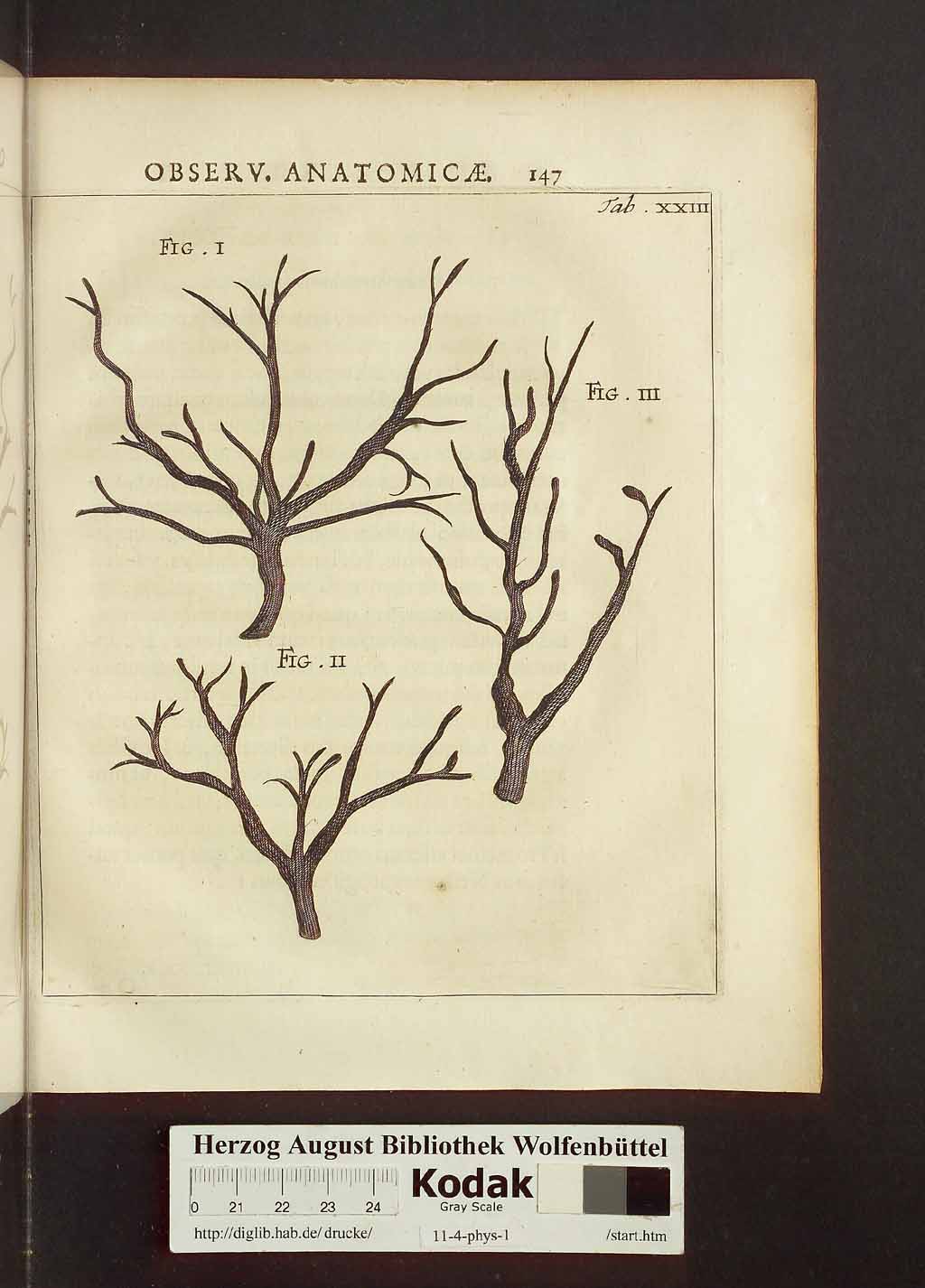 http://diglib.hab.de/drucke/11-4-phys-1/00177.jpg