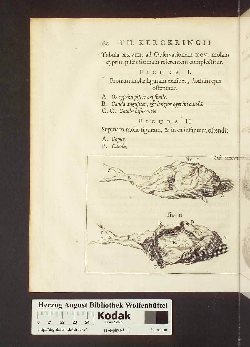 http://diglib.hab.de/drucke/11-4-phys-1/00216.jpg