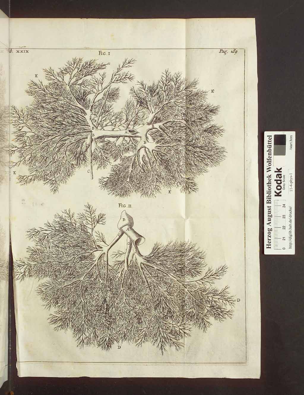http://diglib.hab.de/drucke/11-4-phys-1/00218a.jpg