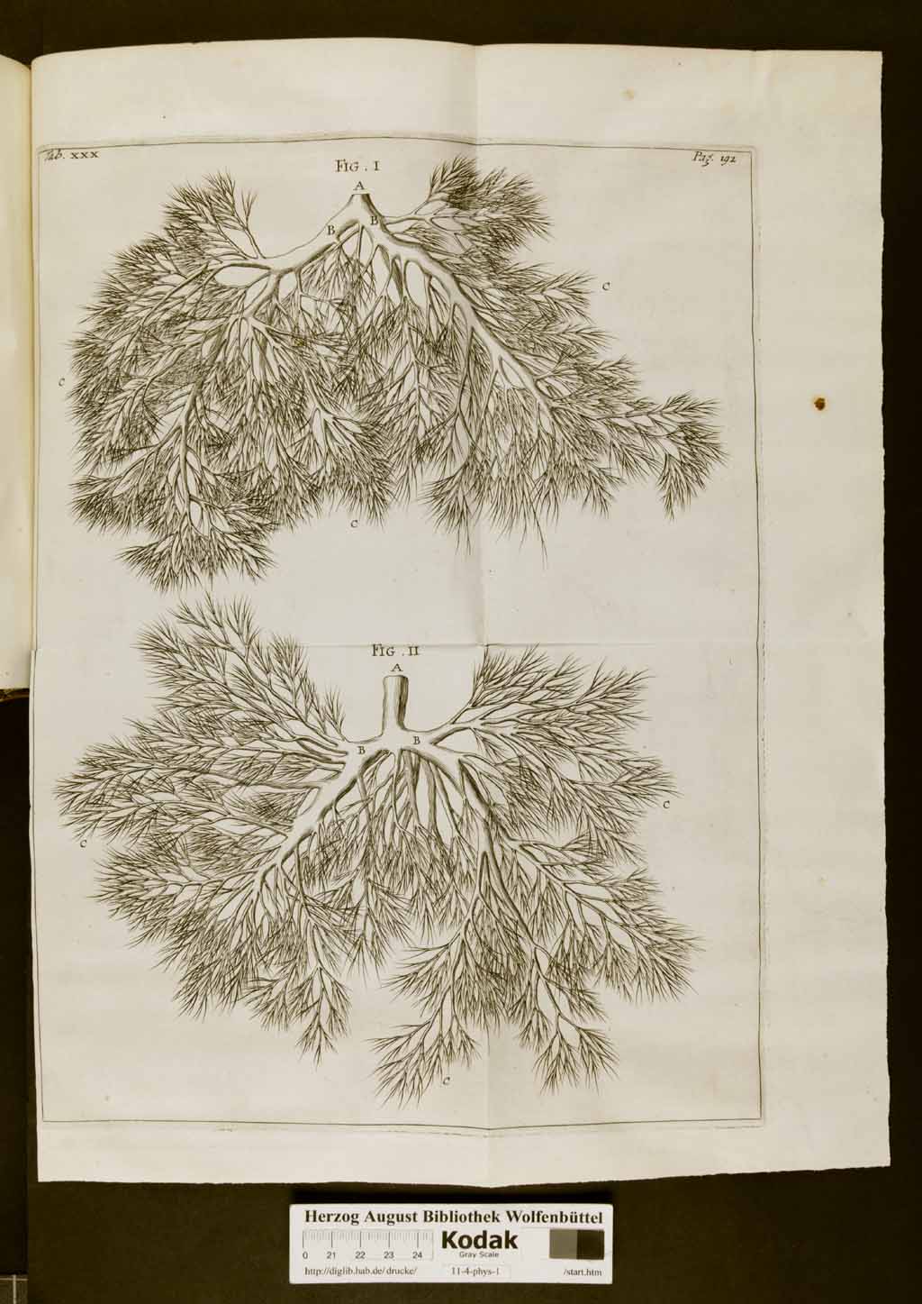 http://diglib.hab.de/drucke/11-4-phys-1/00222a.jpg
