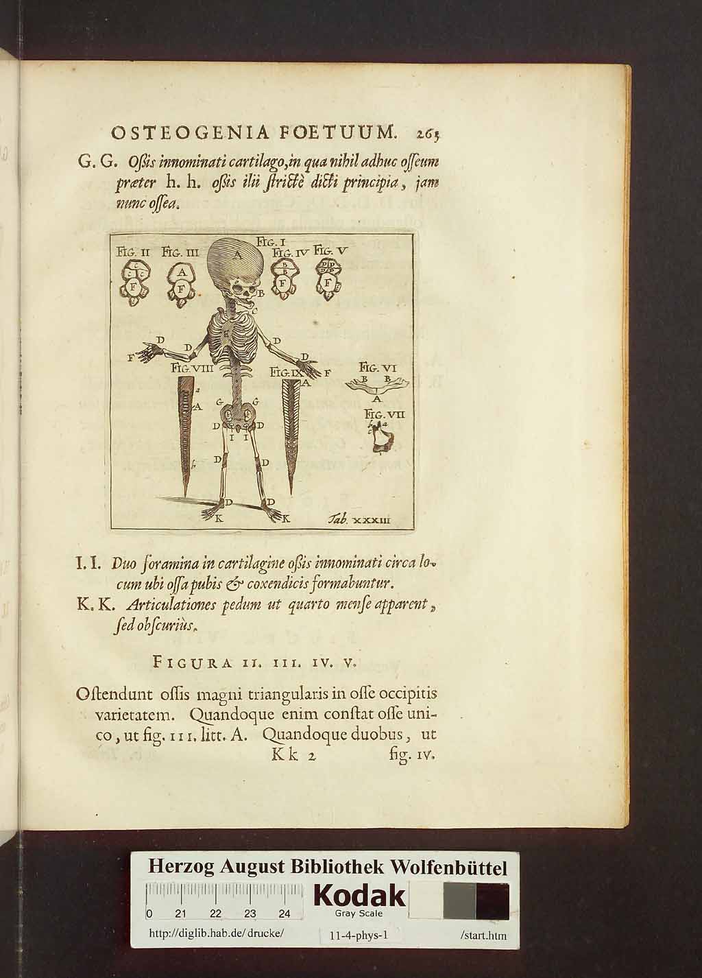 http://diglib.hab.de/drucke/11-4-phys-1/00293.jpg