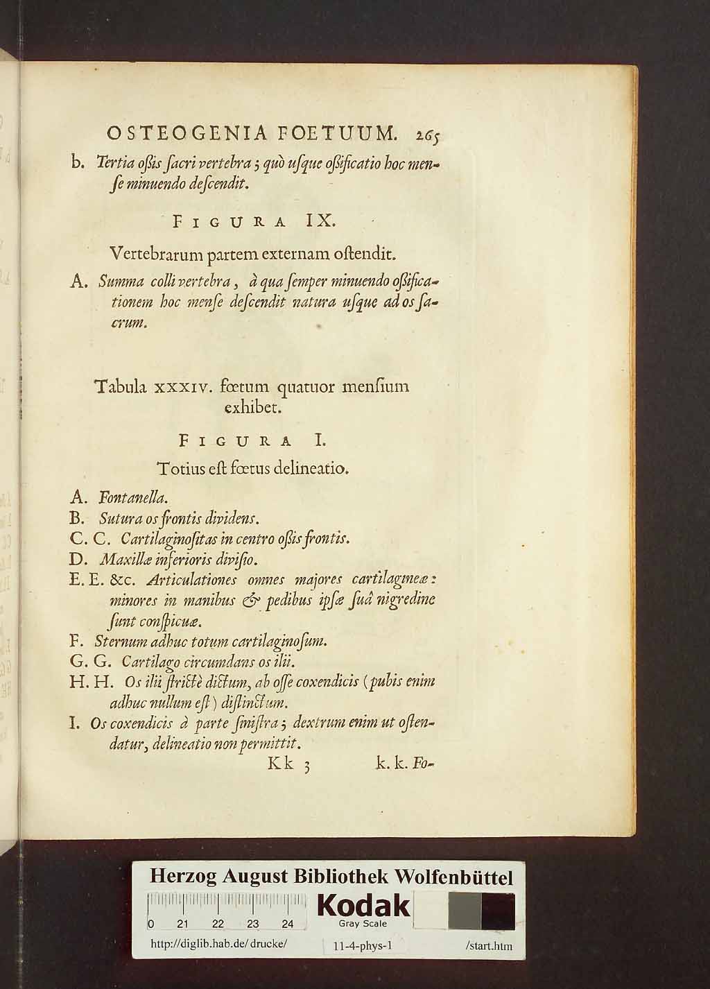 http://diglib.hab.de/drucke/11-4-phys-1/00295.jpg