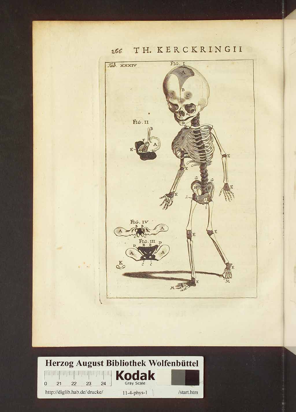 http://diglib.hab.de/drucke/11-4-phys-1/00296.jpg