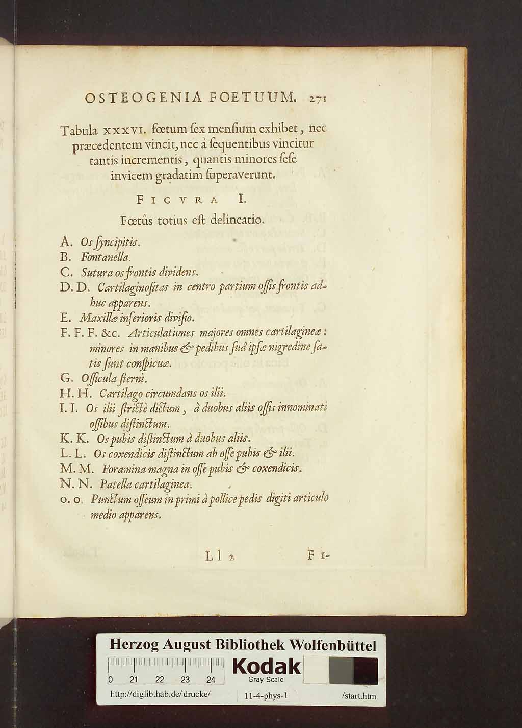 http://diglib.hab.de/drucke/11-4-phys-1/00301.jpg