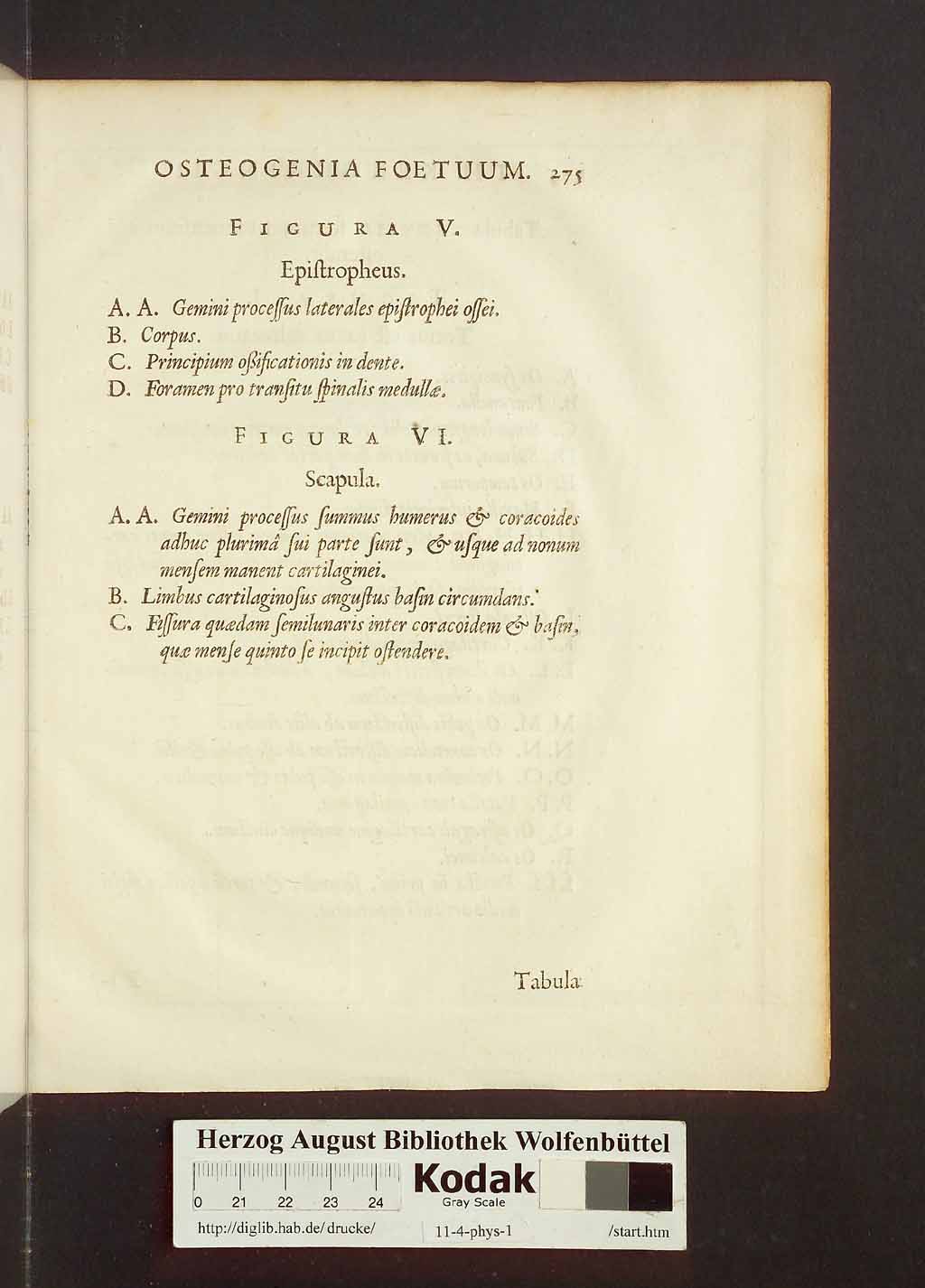 http://diglib.hab.de/drucke/11-4-phys-1/00305.jpg