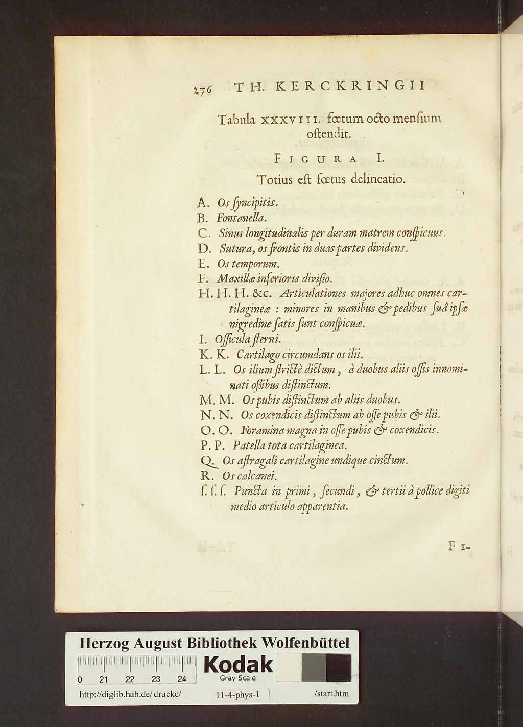 http://diglib.hab.de/drucke/11-4-phys-1/00306.jpg