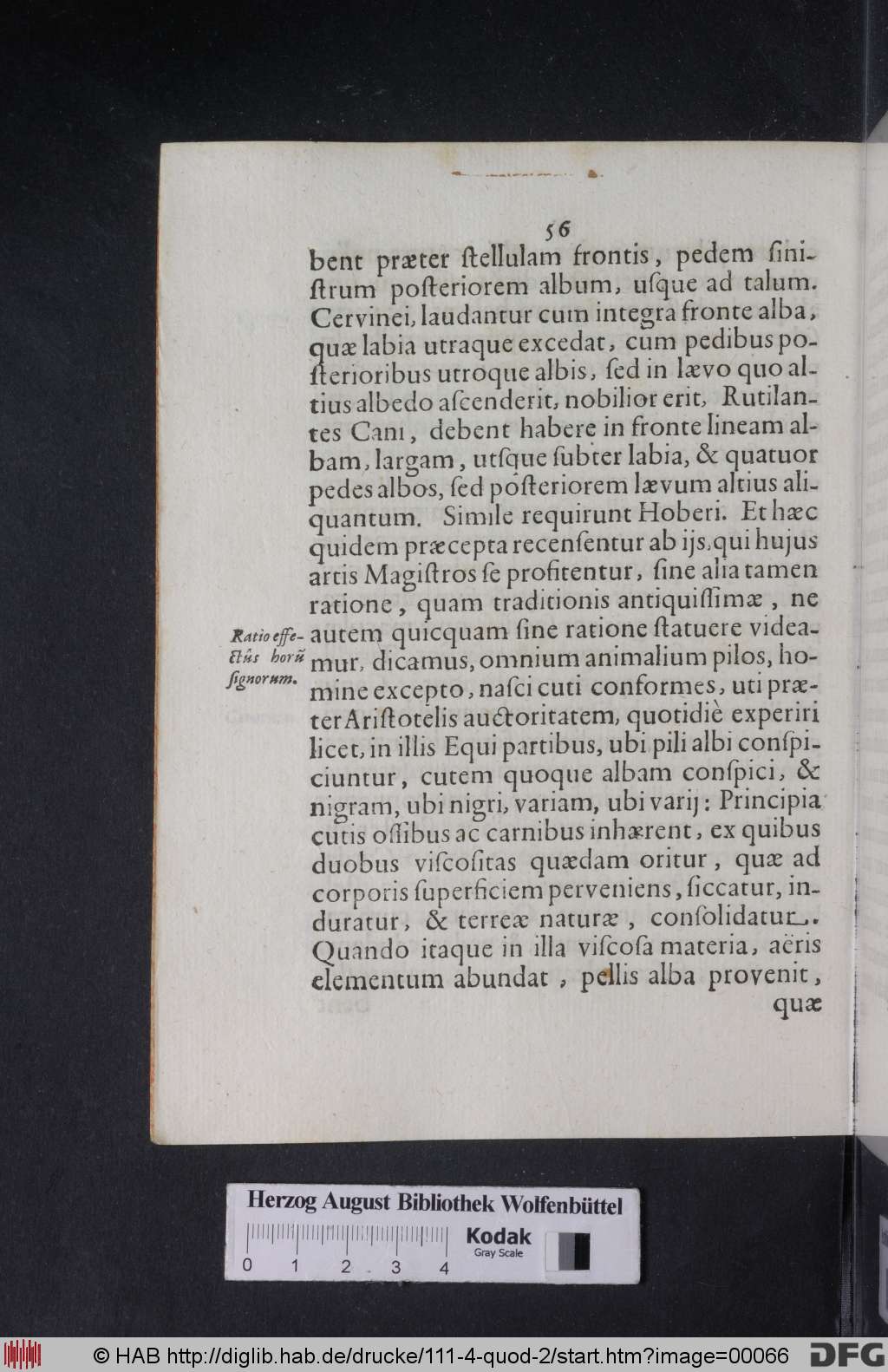 http://diglib.hab.de/drucke/111-4-quod-2/00066.jpg