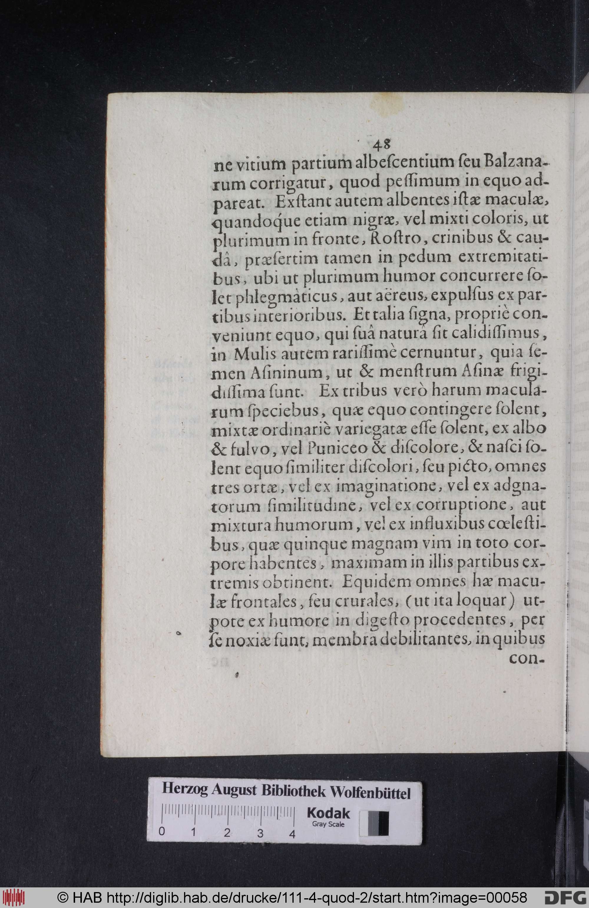 http://diglib.hab.de/drucke/111-4-quod-2/max/00058.jpg