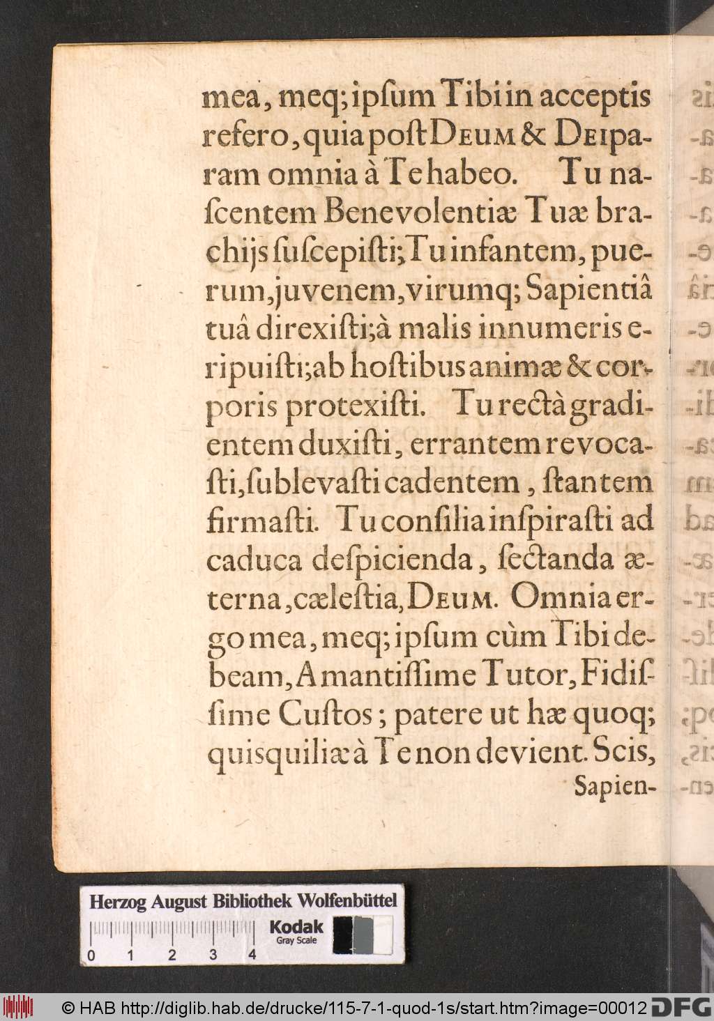 http://diglib.hab.de/drucke/115-7-1-quod-1s/00012.jpg