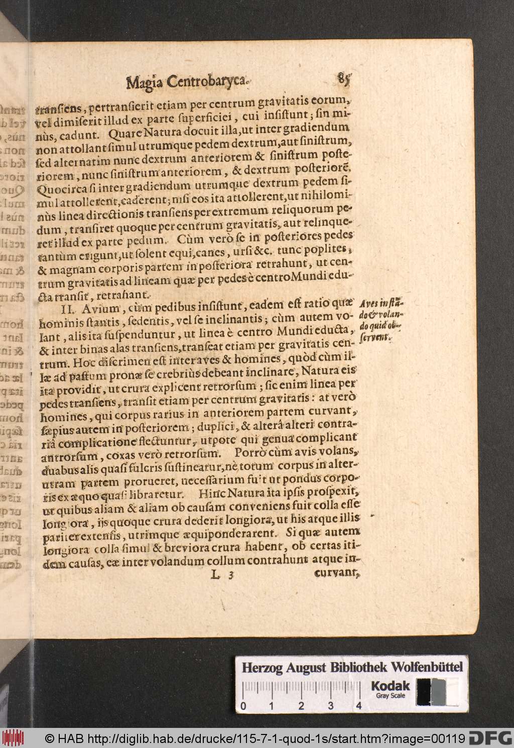 http://diglib.hab.de/drucke/115-7-1-quod-1s/00119.jpg