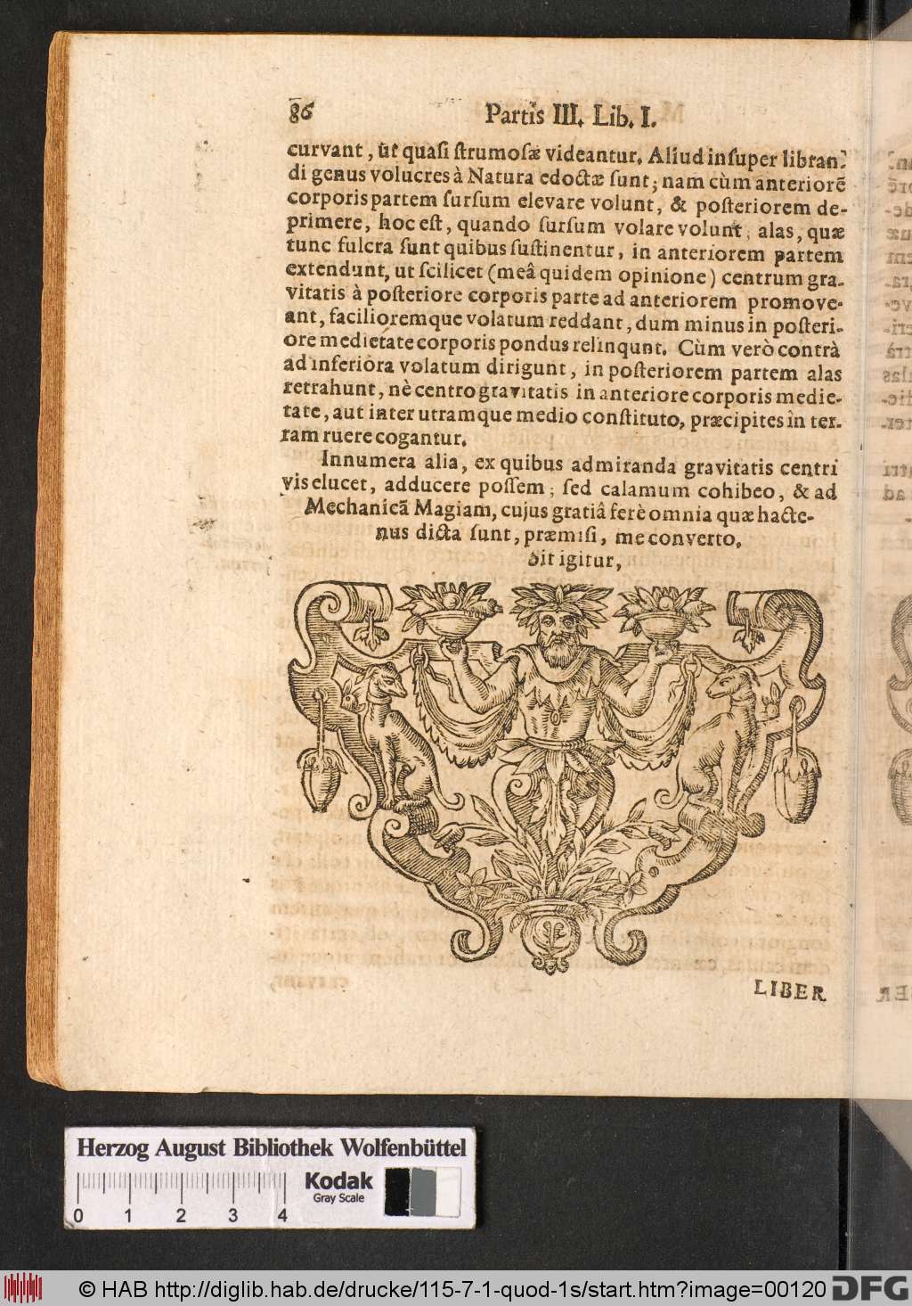 http://diglib.hab.de/drucke/115-7-1-quod-1s/00120.jpg