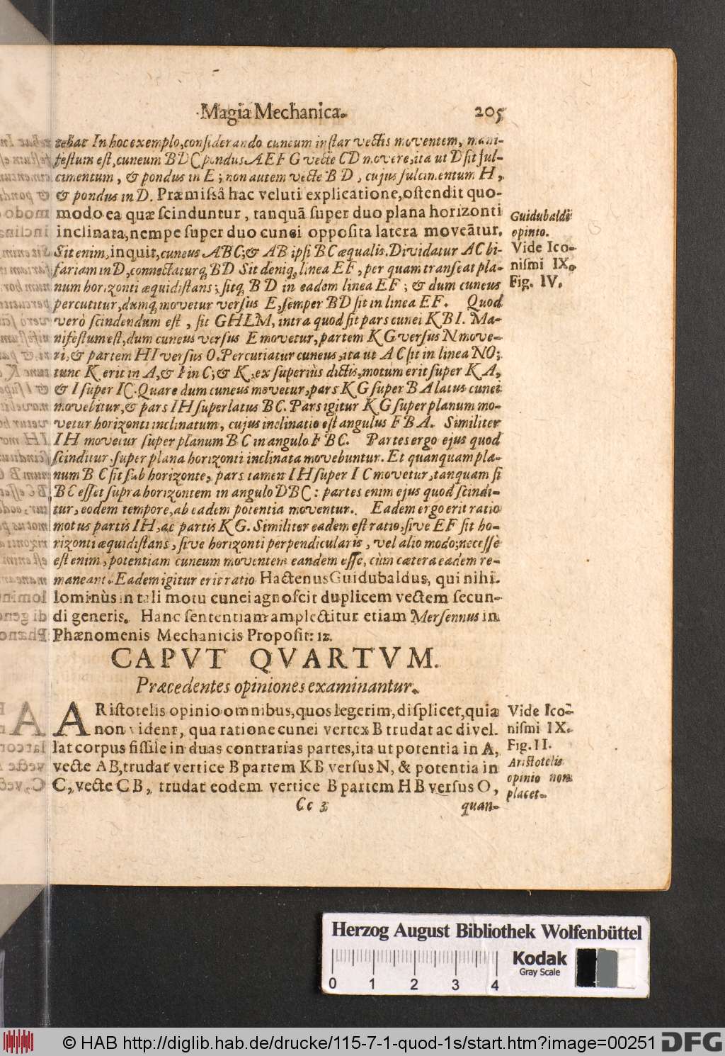 http://diglib.hab.de/drucke/115-7-1-quod-1s/00251.jpg