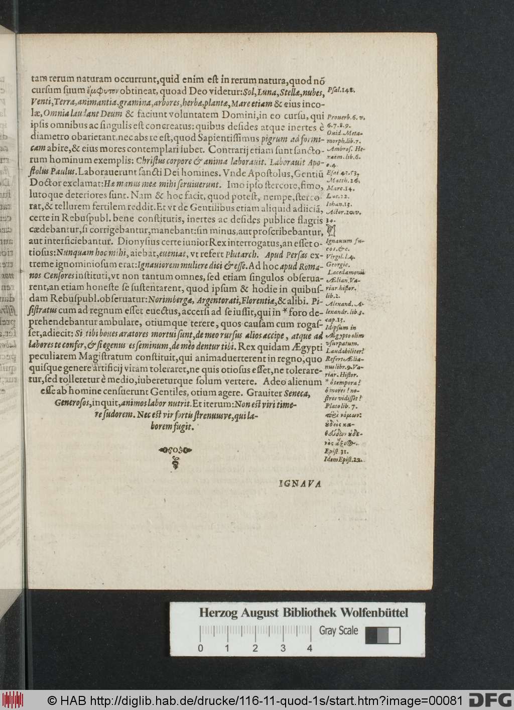 http://diglib.hab.de/drucke/116-11-quod-1s/00081.jpg