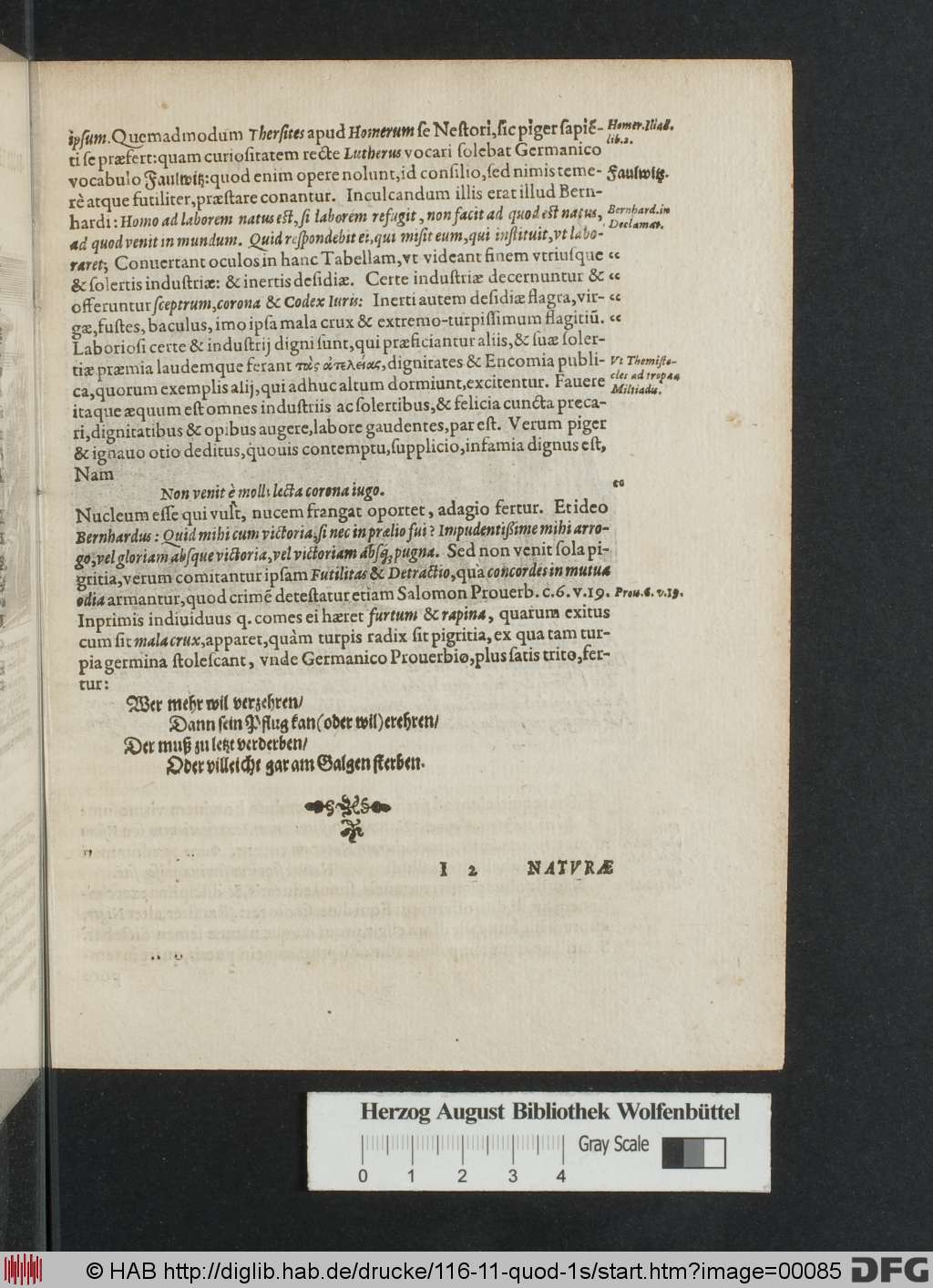 http://diglib.hab.de/drucke/116-11-quod-1s/00085.jpg