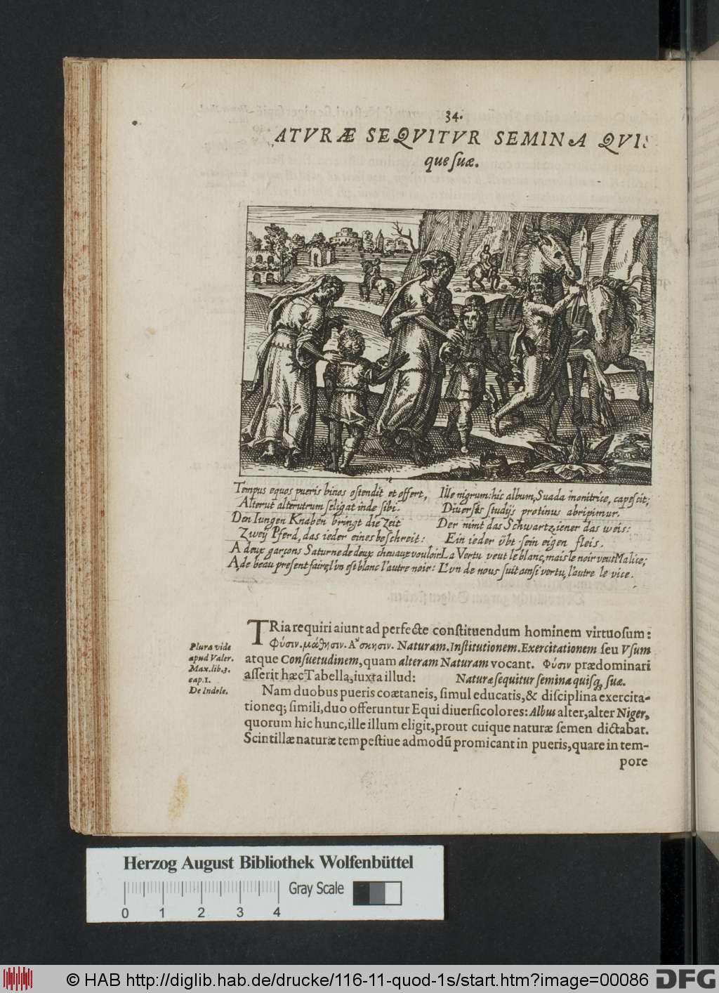 http://diglib.hab.de/drucke/116-11-quod-1s/00086.jpg