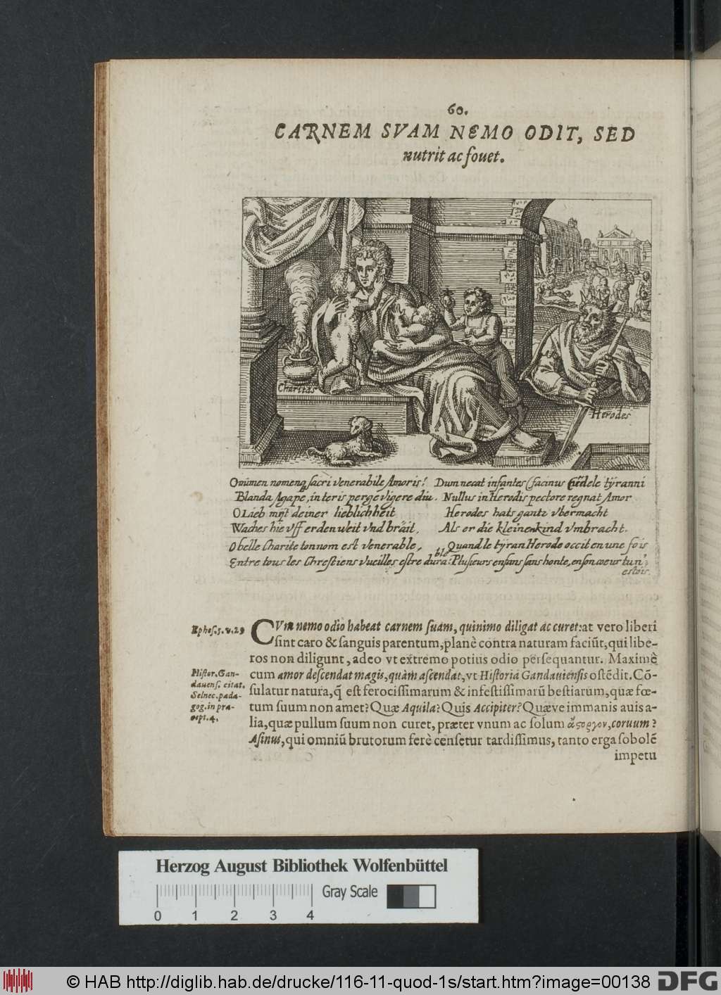 http://diglib.hab.de/drucke/116-11-quod-1s/00138.jpg