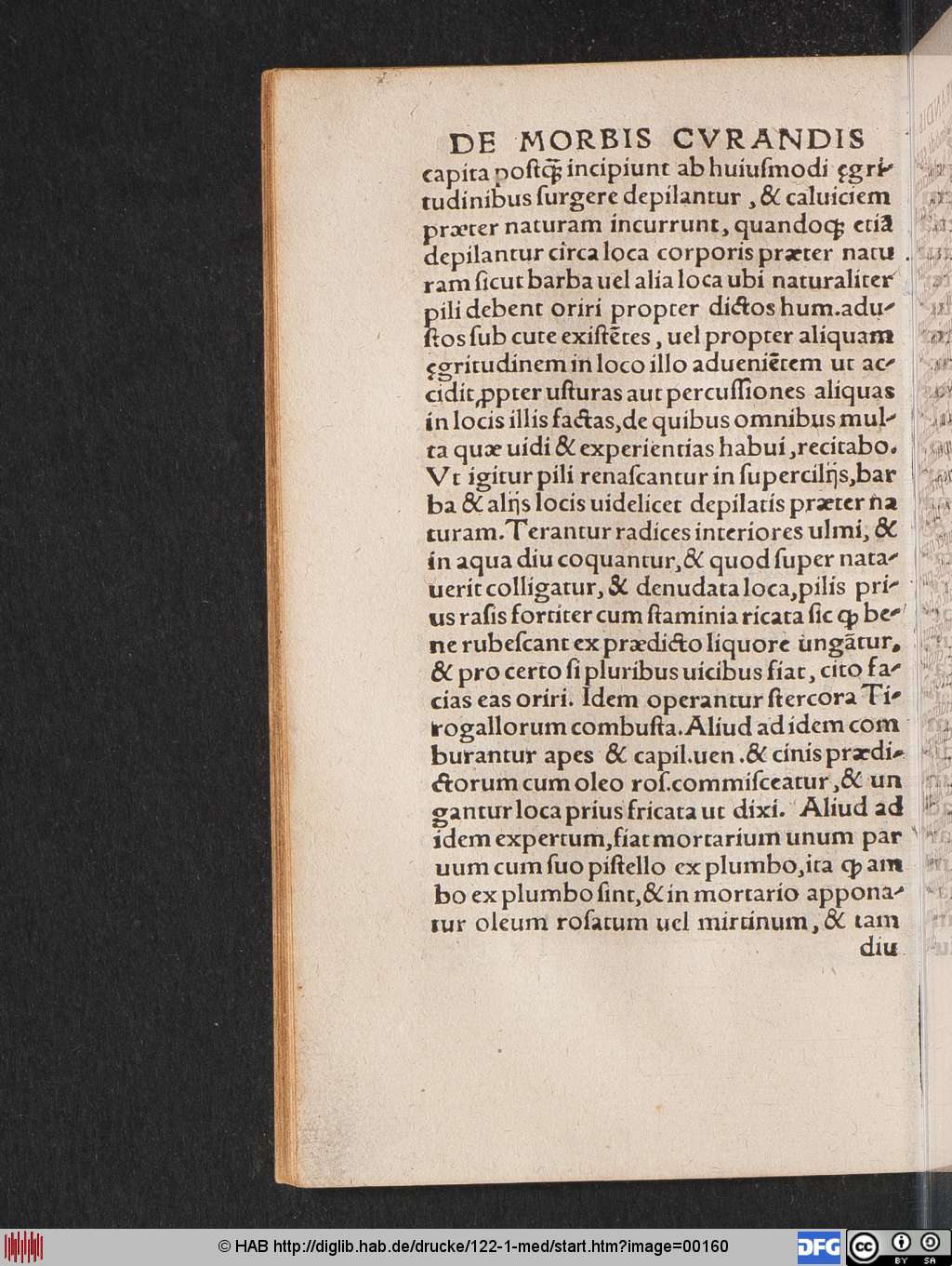 http://diglib.hab.de/drucke/122-1-med/00160.jpg