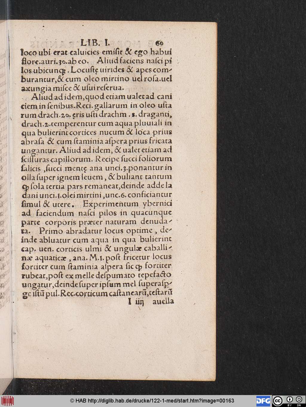 http://diglib.hab.de/drucke/122-1-med/00163.jpg