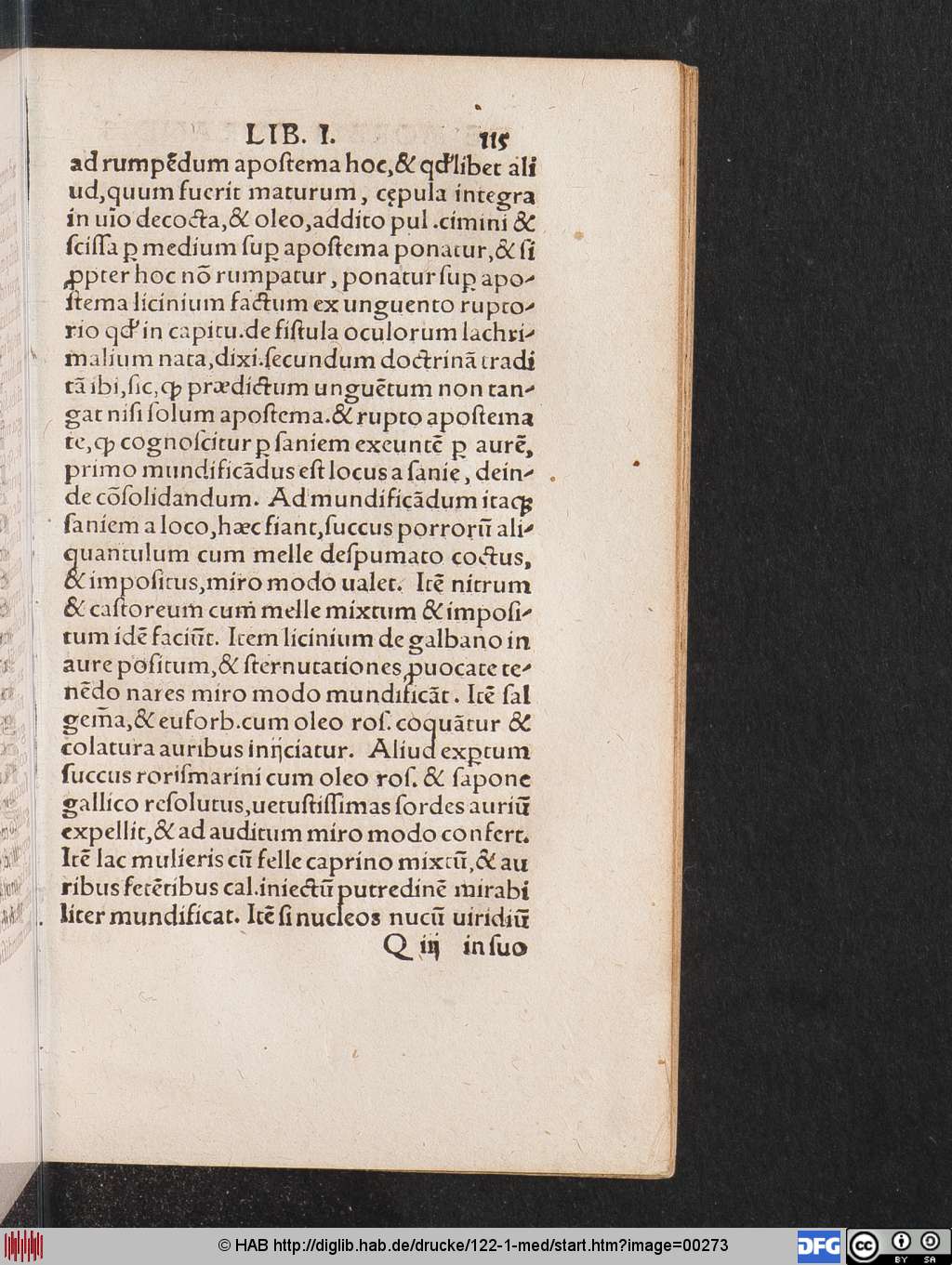 http://diglib.hab.de/drucke/122-1-med/00273.jpg