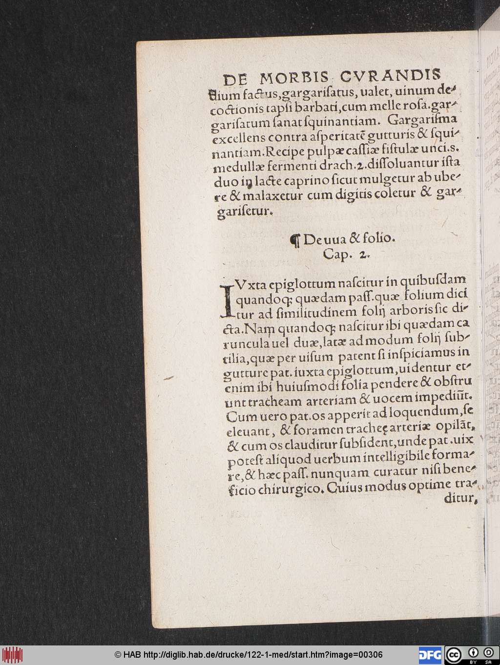 http://diglib.hab.de/drucke/122-1-med/00306.jpg