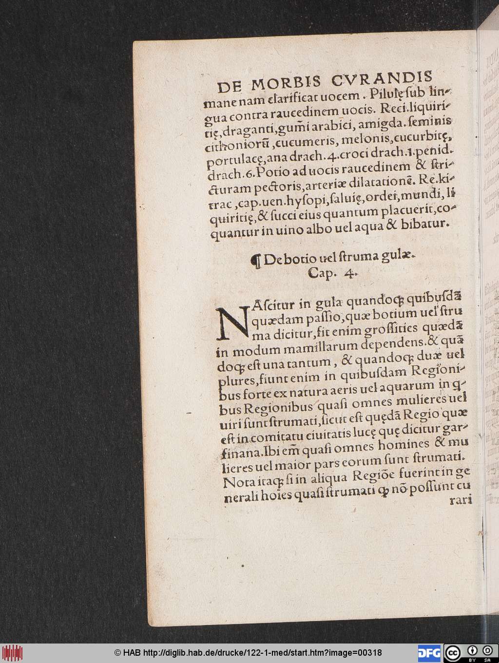 http://diglib.hab.de/drucke/122-1-med/00318.jpg