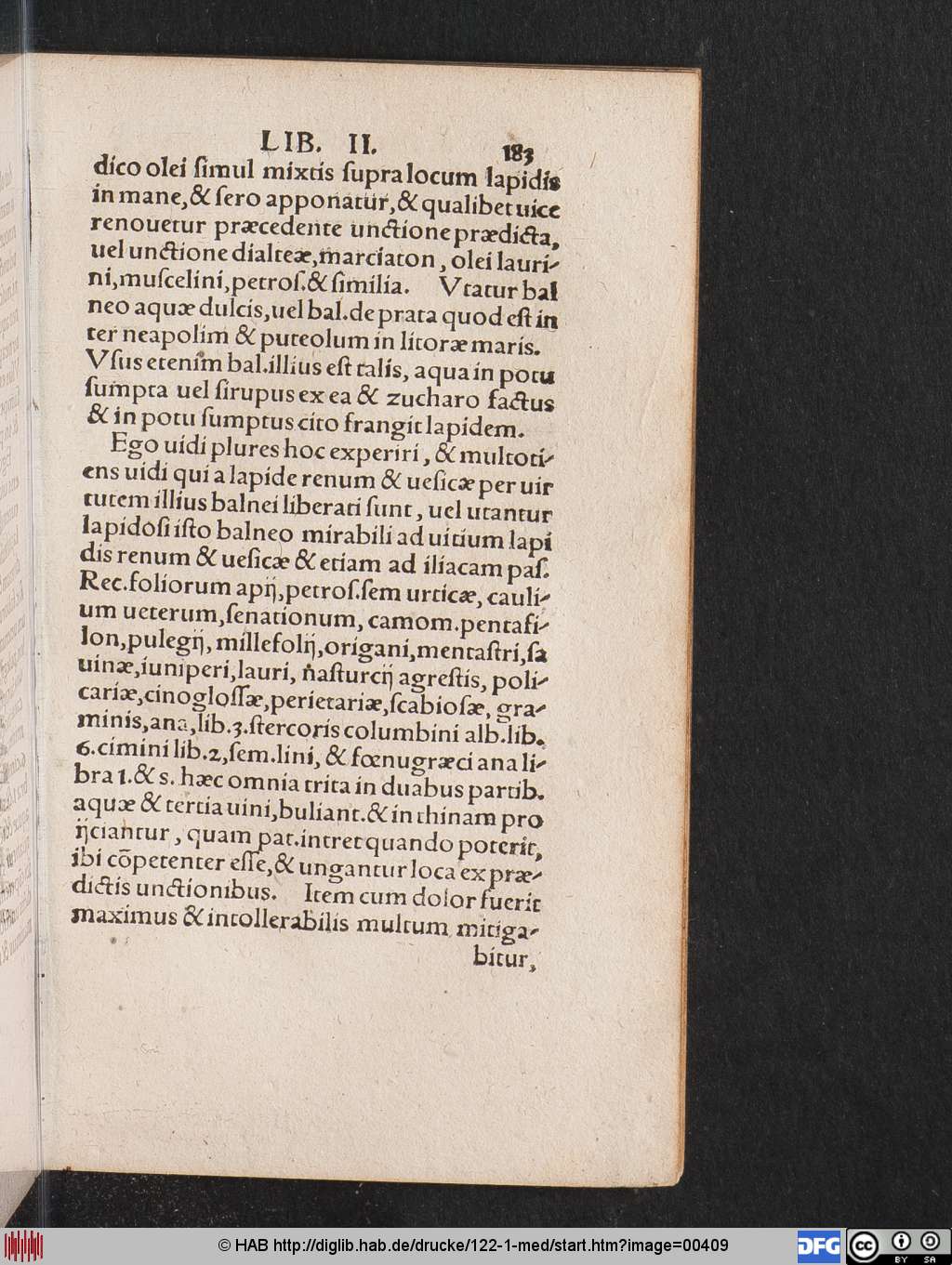 http://diglib.hab.de/drucke/122-1-med/00409.jpg