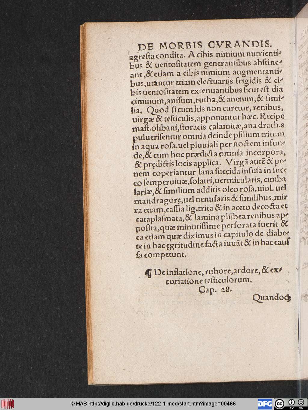 http://diglib.hab.de/drucke/122-1-med/00466.jpg