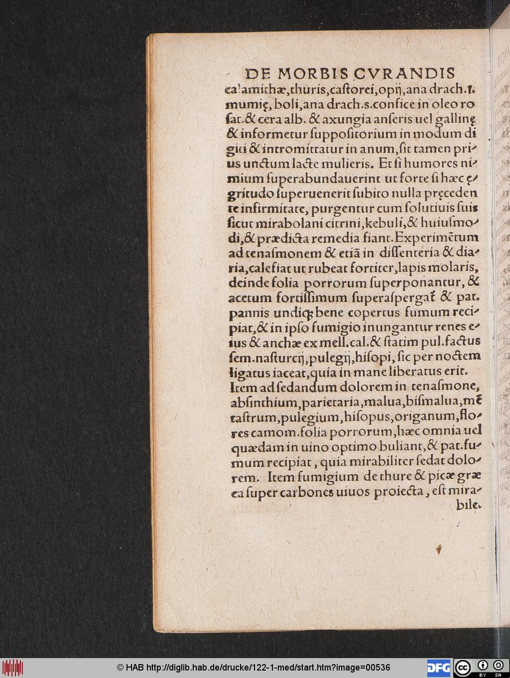 http://diglib.hab.de/drucke/122-1-med/00536.jpg