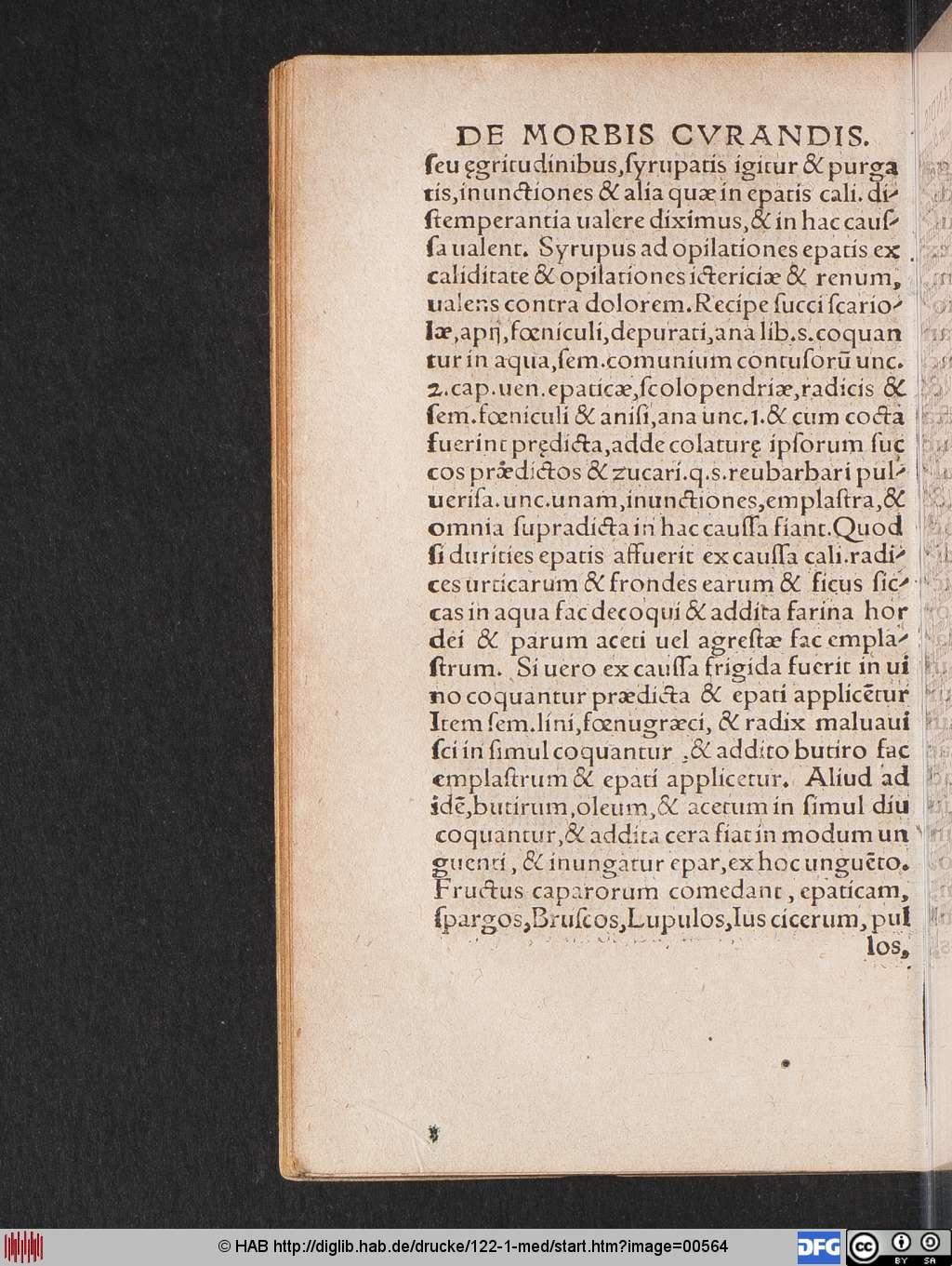 http://diglib.hab.de/drucke/122-1-med/00564.jpg