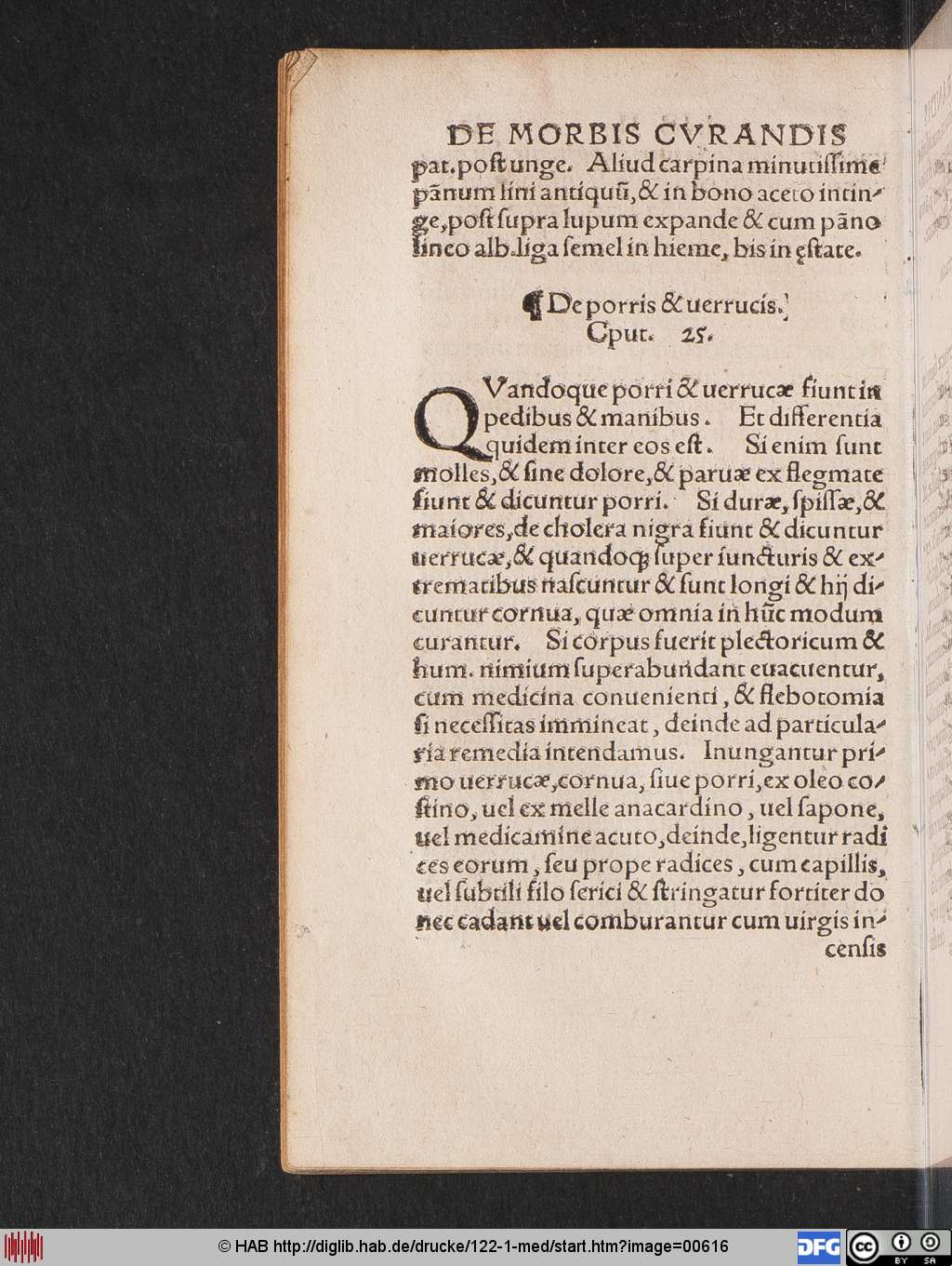 http://diglib.hab.de/drucke/122-1-med/00616.jpg