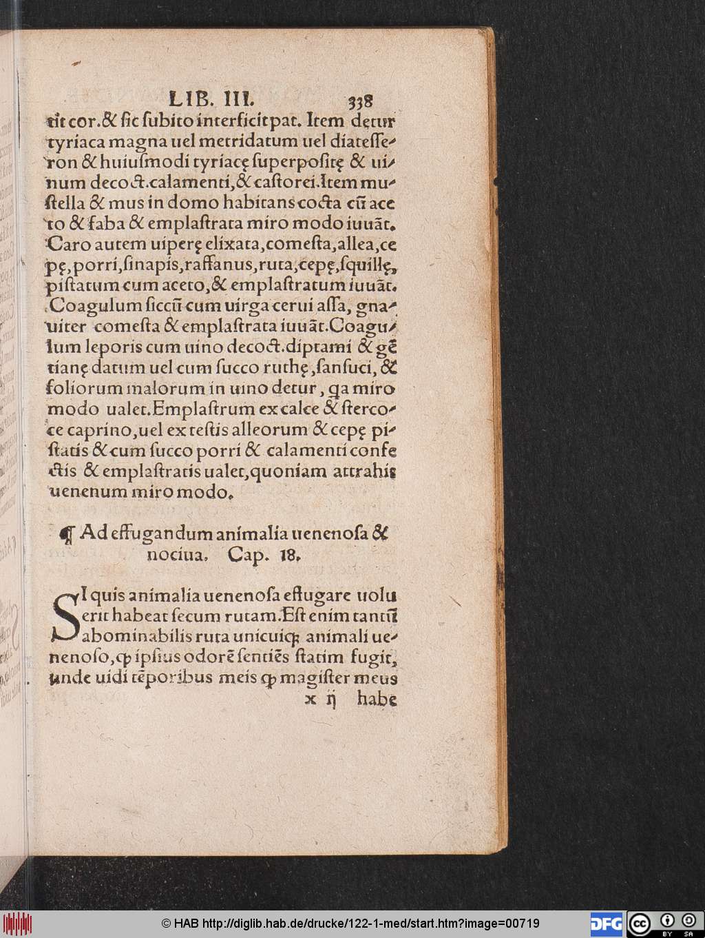 http://diglib.hab.de/drucke/122-1-med/00719.jpg