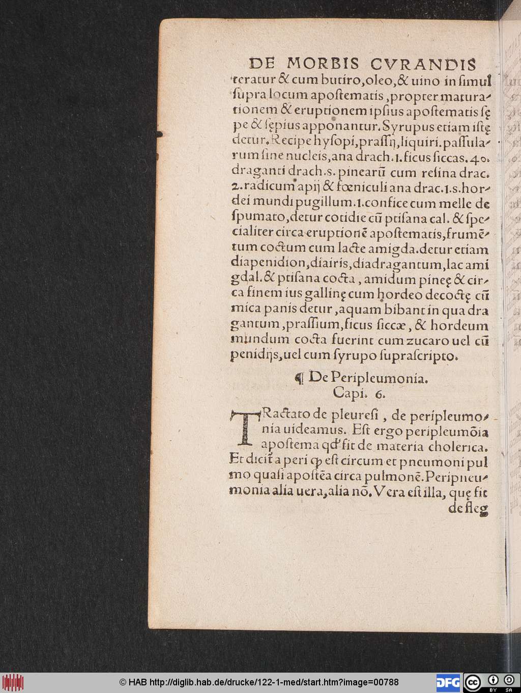 http://diglib.hab.de/drucke/122-1-med/00788.jpg