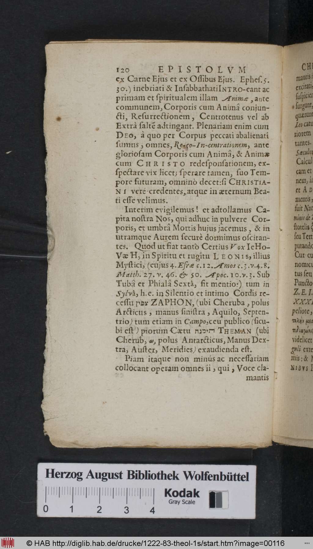 http://diglib.hab.de/drucke/1222-83-theol-1s/00116.jpg