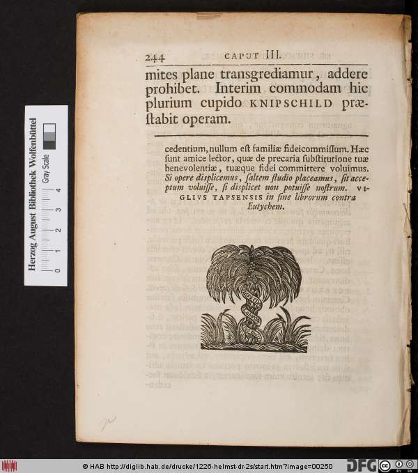 http://diglib.hab.de/drucke/1226-helmst-dr-2s/min/00250.jpg