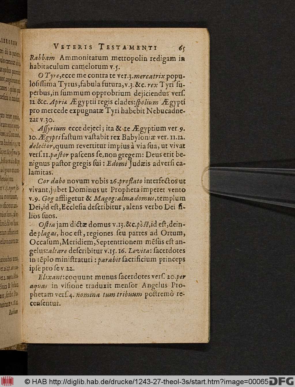 http://diglib.hab.de/drucke/1243-27-theol-3s/00065.jpg