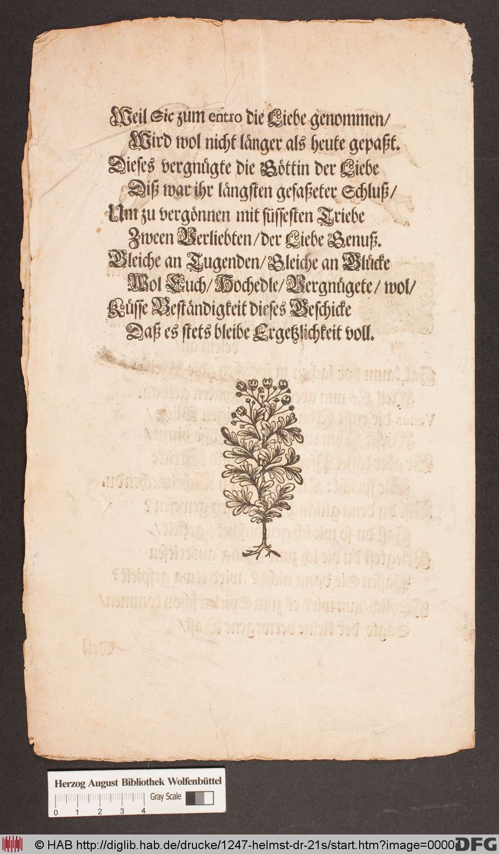 http://diglib.hab.de/drucke/1247-helmst-dr-21s/00004.jpg