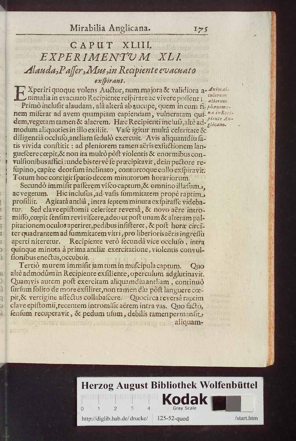 http://diglib.hab.de/drucke/125-52-quod/00239.jpg