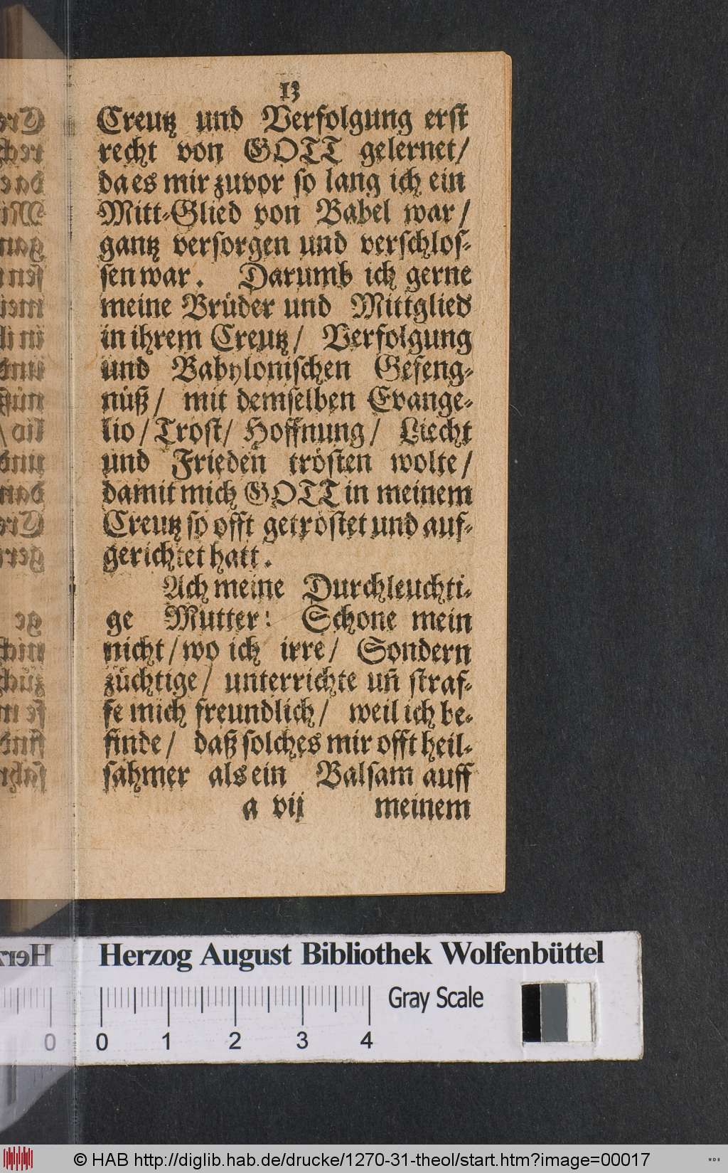http://diglib.hab.de/drucke/1270-31-theol/00017.jpg