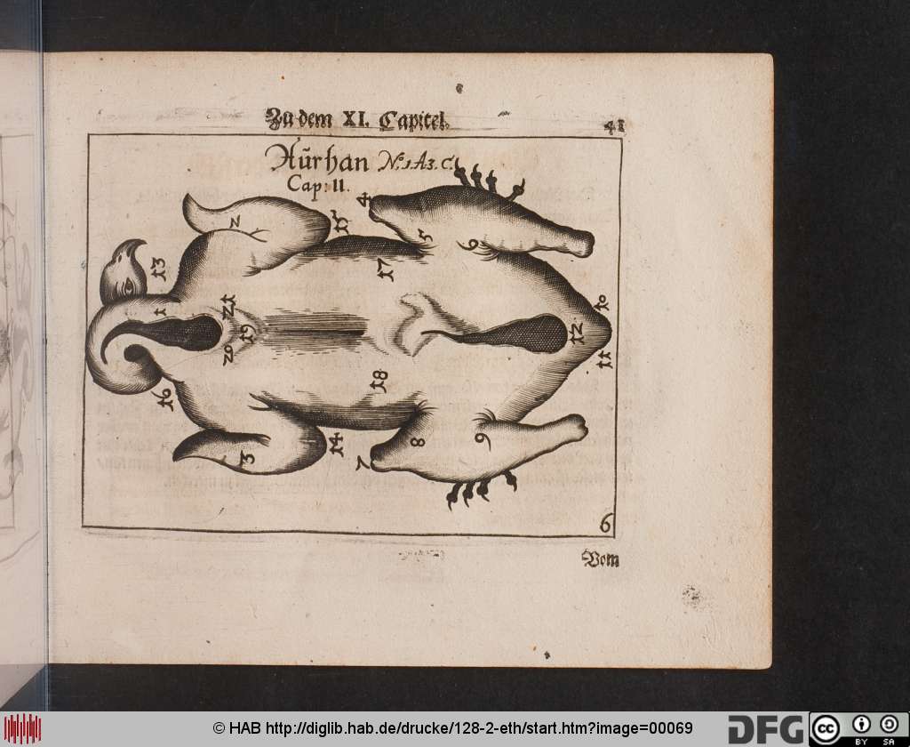 http://diglib.hab.de/drucke/128-2-eth/00069.jpg