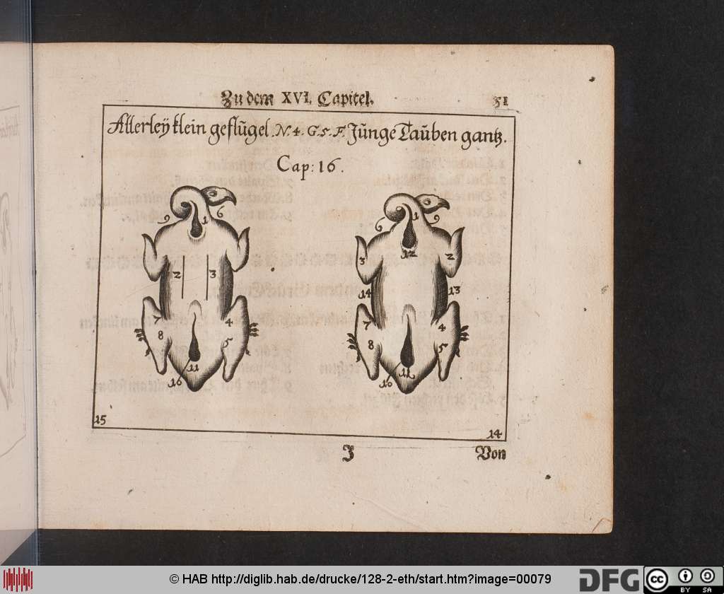 http://diglib.hab.de/drucke/128-2-eth/00079.jpg