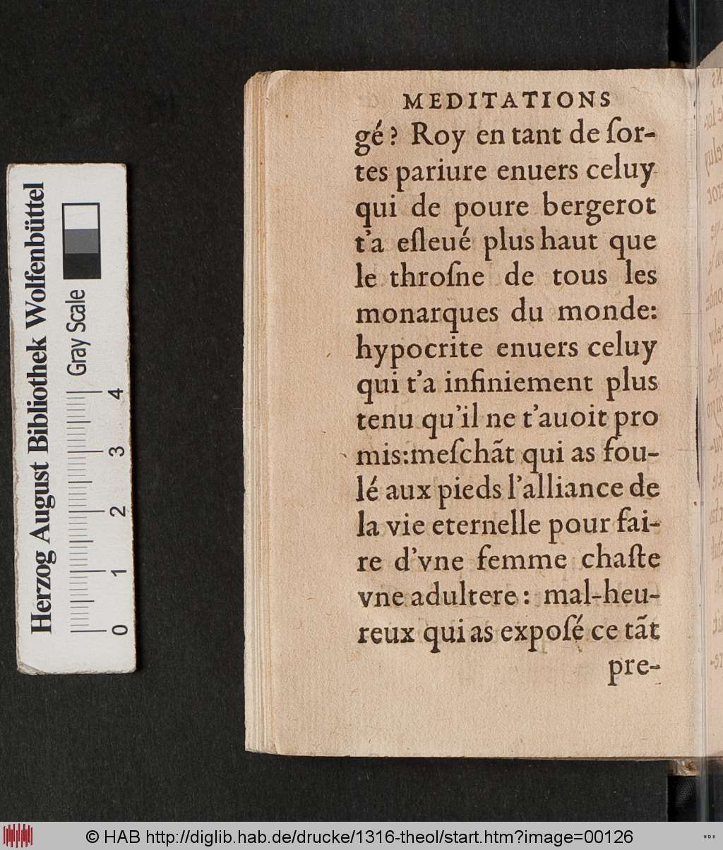 http://diglib.hab.de/drucke/1316-theol/00126.jpg