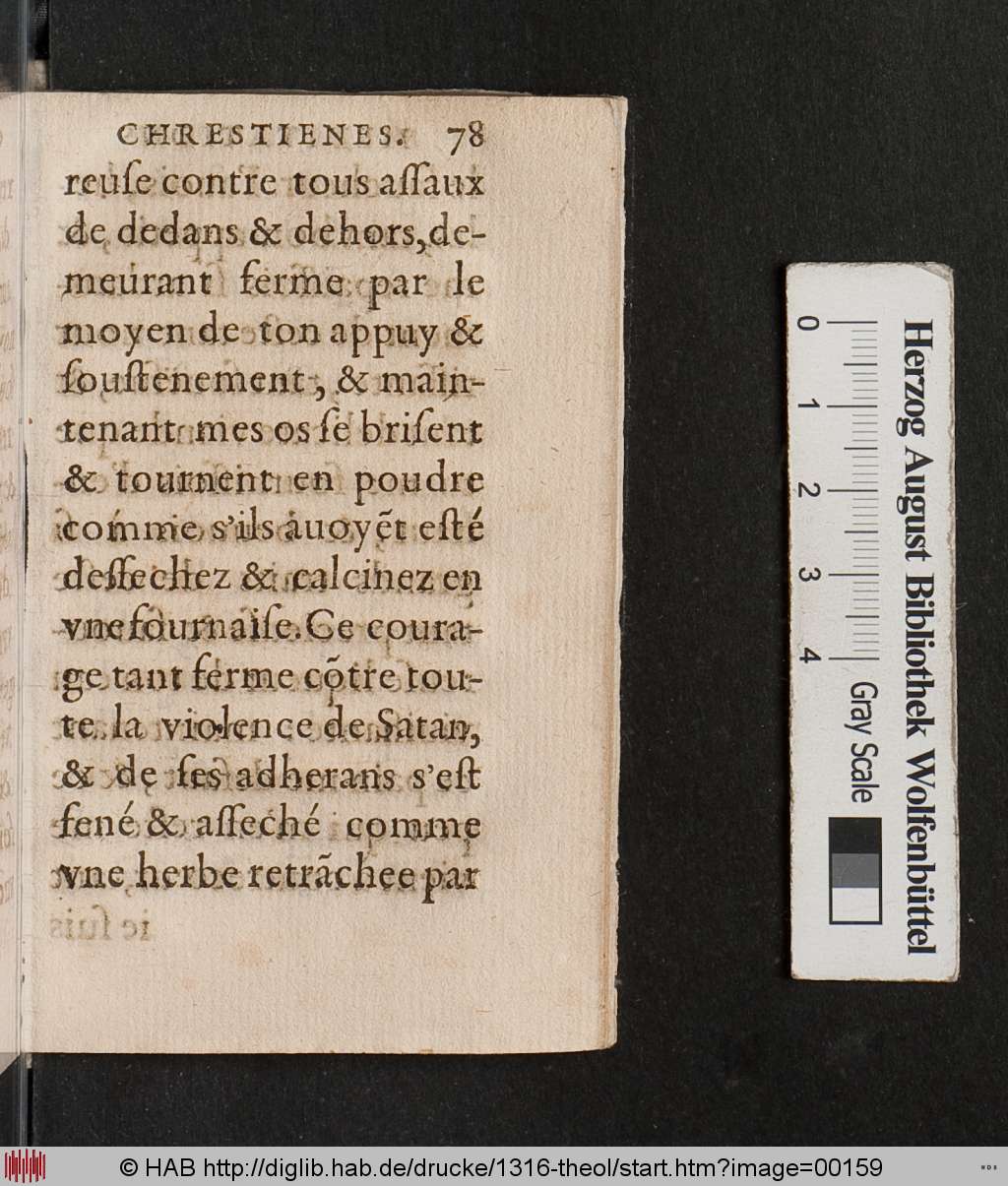 http://diglib.hab.de/drucke/1316-theol/00159.jpg