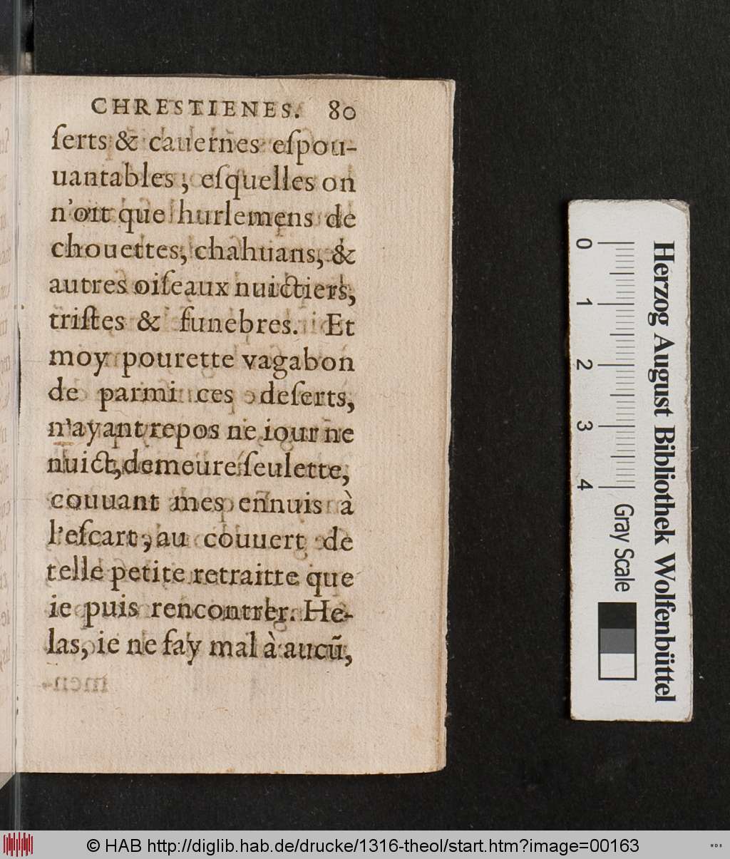 http://diglib.hab.de/drucke/1316-theol/00163.jpg