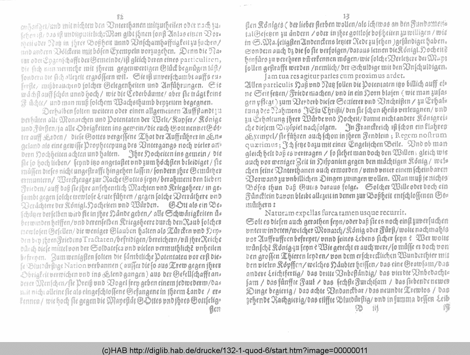 http://diglib.hab.de/drucke/132-1-quod-6/00000011.gif